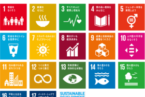 「Sustainable Development Goals（持続可能な開発目標）」